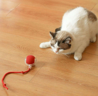 Interactive Cat Ball Toy