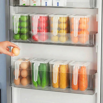 Multi Storage Box with Handle with Cover - Pack of 12