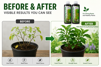 Rapid Strong Rooting Fertilizer (Buy 1 Get 1 Free)