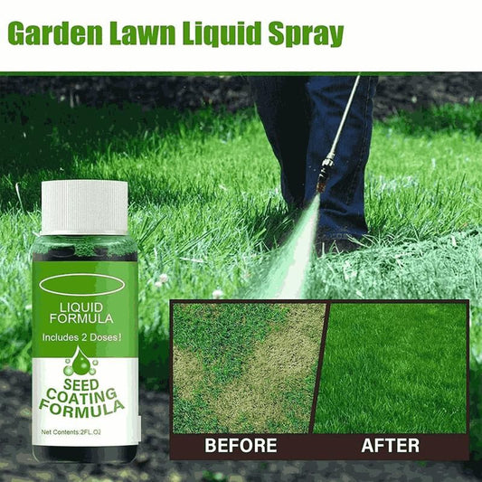 Four Seasons Evergreen Dwarf Grass Seed (pack of 2)