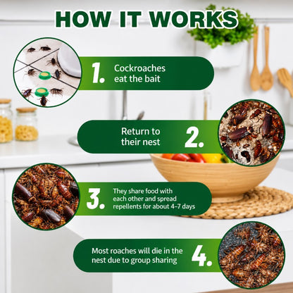 Roach Killer Indoor Infestation, Cockroach Killing Traps Indoor/Outdoor(pack of 24 pcs)