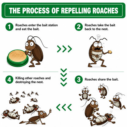 Roach Killer Indoor Infestation, Cockroach Killing Traps Indoor/Outdoor(pack of 24 pcs)