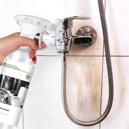 Oxalic Acid Stain Removal Spray, Toilet Cleaner Extra Strong, Oxalic Acid Cleaner 200ml(PACK 2) - CL-VA-1612