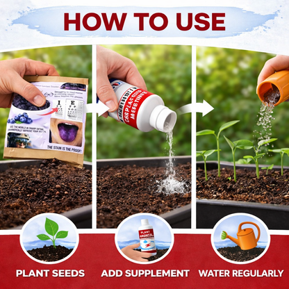 Changbai Mountain Dried Blueberries Seeds With Plant Growth Supplement pack 2