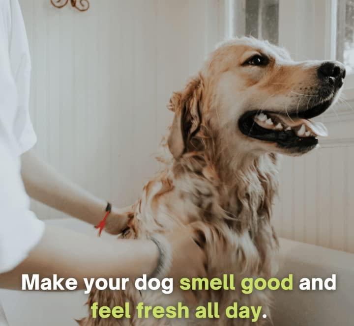 Anti-Itch Dog Shampoo  (Buy 1 Get 1 Free)