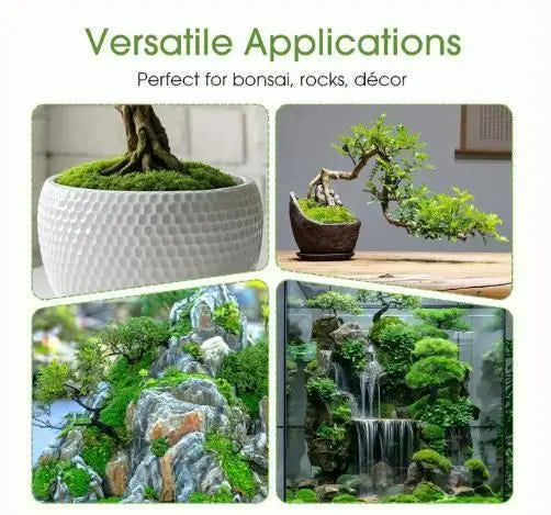 Premium Grade Moss Spore Powder (Buy 1 Get 1 free)