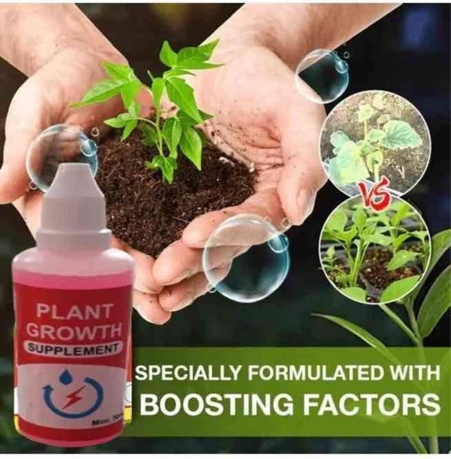 Jasmine seeds & plant growth supplements (Buy 1 Get 1 Free)