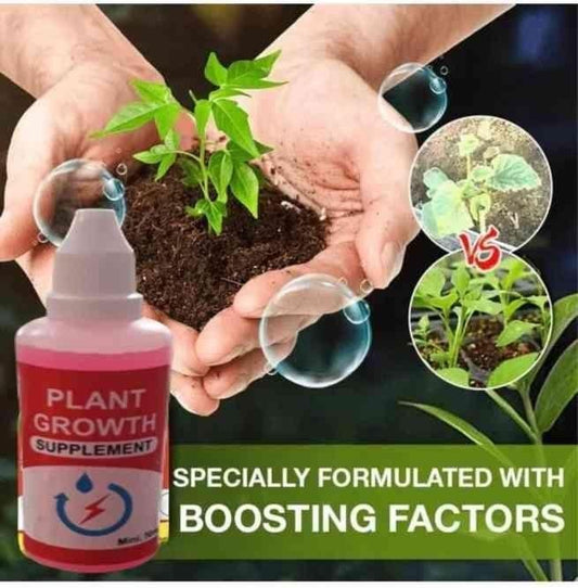 Jasmine seeds & plant growth supplements (Buy 1 Get 1 Free)