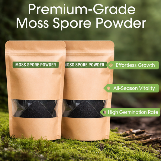 Premium Grade Moss Spore Powder (Buy 1 Get 1 free)