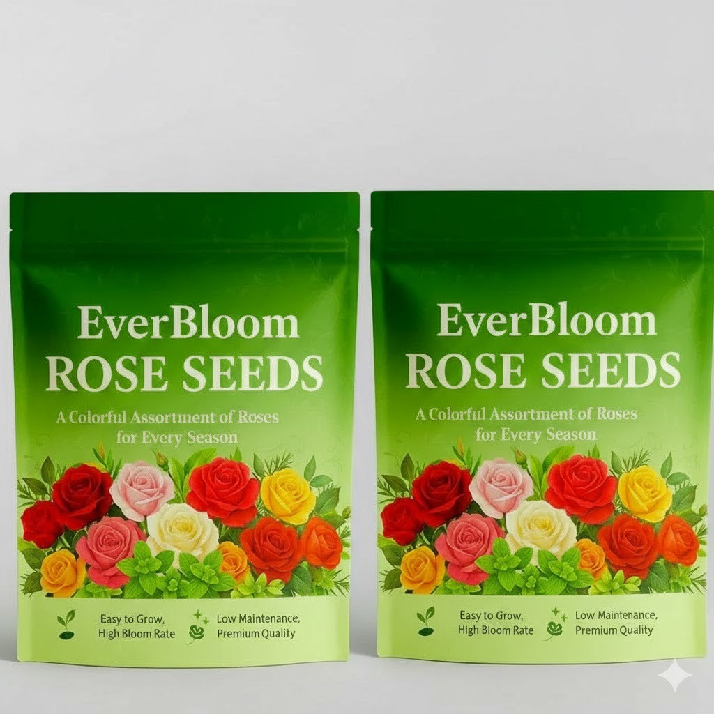 Ever Bloom Rose Seeds (Buy 1 Get 1 Free)