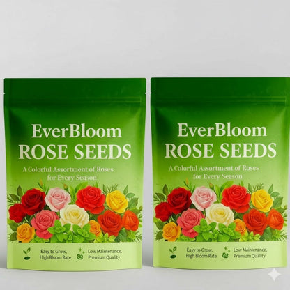 Ever Bloom Rose Seeds (Buy 1 Get 1 Free)